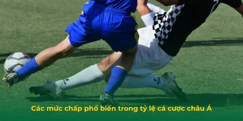 Tỷ Lệ Cá Cược Châu Á: Cách Hiểu Chuẩn Để Dễ Thắng Lớn Các mức chấp phổ biến trong tỷ lệ cá cược châu Á