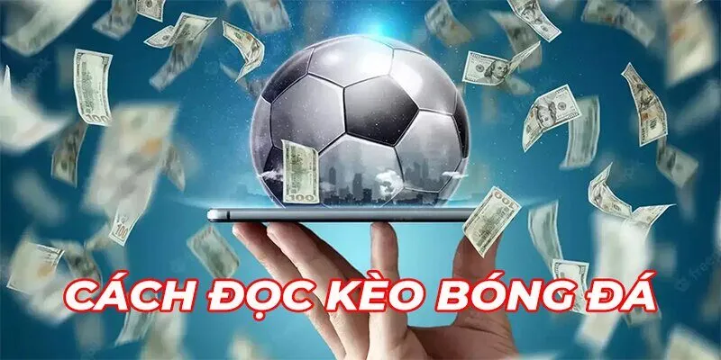 Cách Đọc Kèo Bóng Đá: Bí Quyết Nhận Diện Kèo Thơm Chuẩn Xác Hướng dẫn cách đọc kèo bóng cho người mới