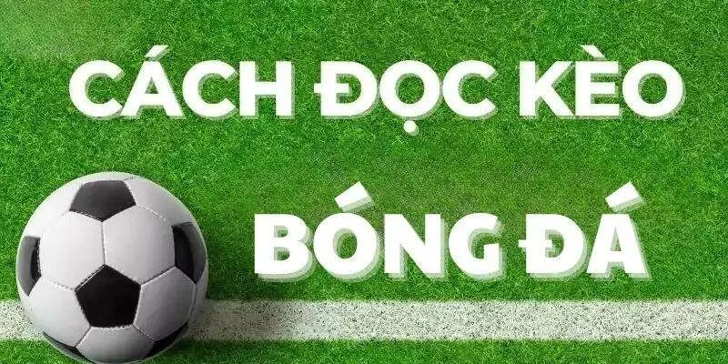 Hướng Dẫn Đọc Bảng Tỷ Lệ Bóng Đá Chuẩn Xác Cho Người Mới Cách đọc một số loại cược bóng đá phổ biến
