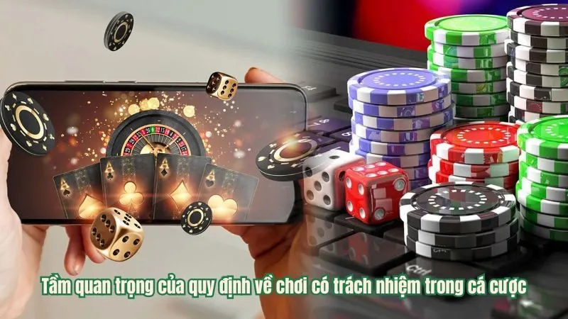 Những quy định về chơi có trách nhiệm tại Debet Tầm quan trọng của quy định về chơi có trách nhiệm trong cá cược