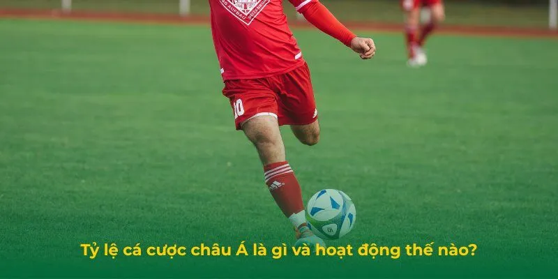Tỷ Lệ Cá Cược Châu Á: Cách Hiểu Chuẩn Để Dễ Thắng Lớn Tỷ lệ cá cược châu Á là gì và hoạt động thế nào?