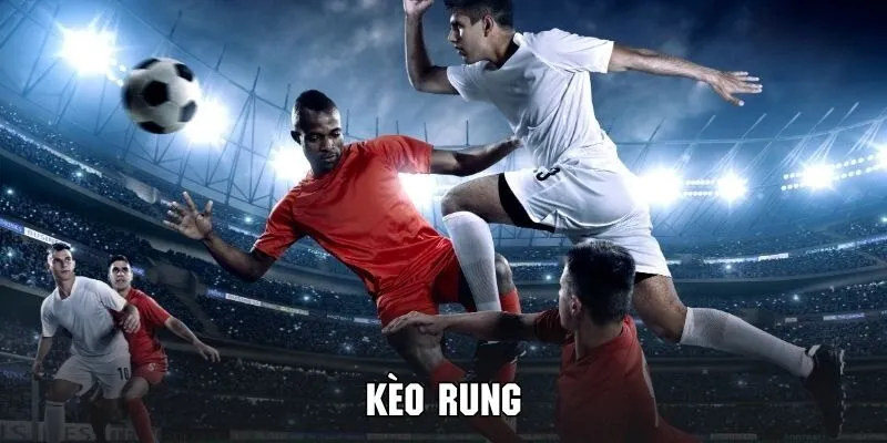 Chơi Kèo Rung Hiệu Quả - Bí Kíp Lối Đánh Của Các Cao Thủ Các yếu tố tác động đến kết quả đầu tư của bạn